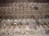 Old_wine_1.jpg - 